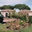 Palatine Hill on Random Top Must-See Attractions in Rome