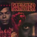Panther on Random Great Historical Black Movies Based On True Stories