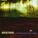 A Real Diamond in the Rough on Random Best Buckethead Albums