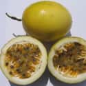 Passion fruit on Random Most Delicious Fruits