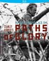 Paths of Glory on Random Greatest Army Movies