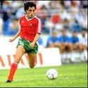 Paulo Futre on Random Best Soccer Players from Portugal