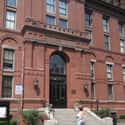 Peabody Museum of Archaeology and Ethnology on Random Best Museums in the United States