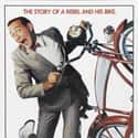 Pee-wee's Big Adventure on Random Funniest Road Trip Comedy Movies