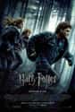 Harry Potter and the Deathly Hallows - Part I on Random Best Fantasy Movies Based on Books