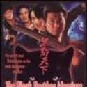 Tony Leung Ka-fai, Simon Yam, Dicky Cheung   Black Panther Warriors is a 1994 action crime comedy film written by Kan-Cheung Tsang and directed by .