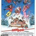 Shannon Tweed, David Naughton, James Saito   Hot Dog…The Movie is a comedy ski film released in January 1984.