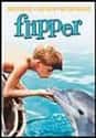 Flipper on Random Best 1960s Family Movies