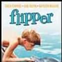 Flipper on Random Best 1960s Family Movies