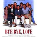 Bye Bye Love on Random Very Best Movies About Life After Divorce