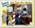Little Miss Marker on Random Best Shirley Temple Movies