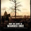 Bury My Heart at Wounded Knee on Random Best Native American Movies