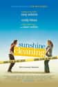 Sunshine Cleaning on Random Best Movies About Business Women