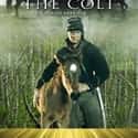 The Colt on Random Best US Civil War Movies