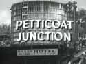 Petticoat Junction on Random Very Best Shows That Aired in the 1960s