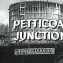 Petticoat Junction on Random Very Best Shows That Aired in the 1960s