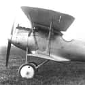 Pfalz D.III on Random Best World War 1 Airplanes