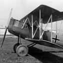 Pfalz D.XII on Random Best World War 1 Airplanes