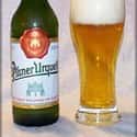 Pilsner Urquell on Random Best Beers from Around World