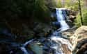 Pisgah National Forest on Random Best U.S. Parks for Camping