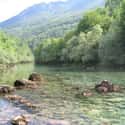 Piva on Random Best Fly Fishing Rivers in the World