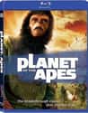 Planet of the Apes on Random Best Dystopian And Near Future Movies