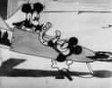 1928   Plane Crazy is an American animated short film directed by Walt Disney and Ub Iwerks.