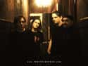 Porcupine Tree on Random Best New Prog Bands