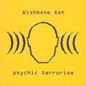 Psychic Terrorism on Random Best Wishbone Ash Albums