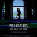 Adam Sandler, Philip Seymour Hoffman, Emily Watson   Punch-Drunk Love is a 2002 romantic comedy-drama film written and directed by Paul Thomas Anderson and starring Adam Sandler, Emily Watson, Mary Lynn Rajskub, Philip Seymour Hoffman and Luis...