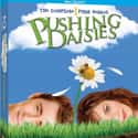 Lee Pace, Anna Friel, Chi McBride   Pushing Daisies is an American fantasy comedy-drama television series created by Bryan Fuller that aired on ABC from October 3, 2007, to June 13, 2009.