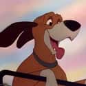 Copper on Random Greatest Dogs in Cartoons and Comics