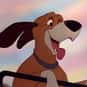 Copper is listed (or ranked) 11 on the list The Greatest Dog Characters of All Time