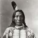 Dec. at 87 (1822-1909)   Red Cloud was a war leader and a chief of the Oglala Lakota. He led as a chief from 1868 to 1909.