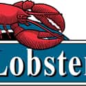 Red Lobster on Random Best American Restaurant Chains