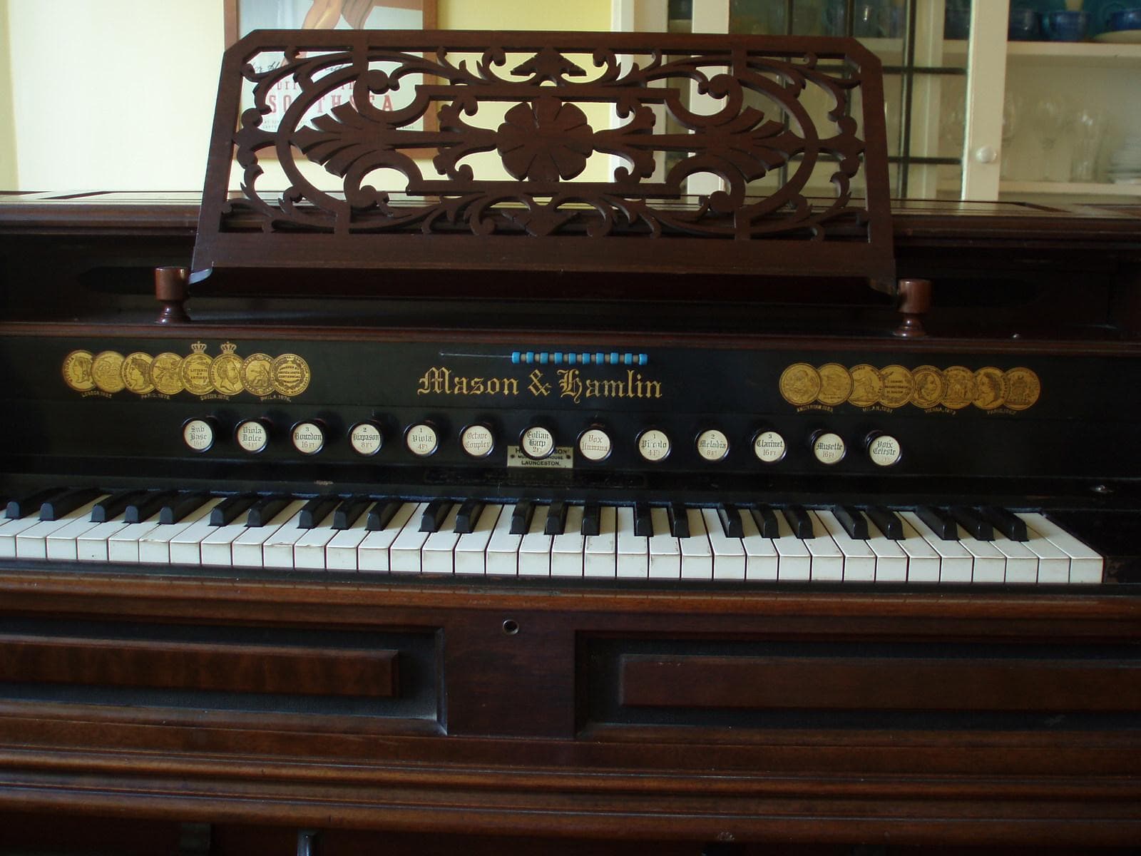 Organ instrument deals types