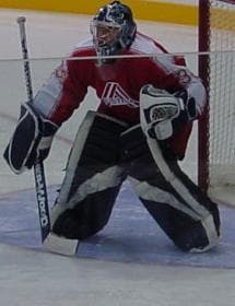 Famous Austrian Hockey Players List of Hockey Players from Austria