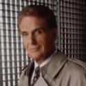 Robert Stack on Random Celebrities Who Served In The Military