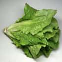 Romaine lettuce on Random Best Things to Put in a Salad