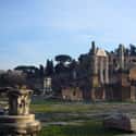 Roman Forum on Random Top Must-See Attractions in Rome