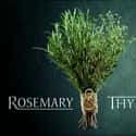 Rosemary & Thyme on Random Very Best British Crime Dramas