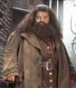 Rubeus Hagrid on Random Best Teachers at Hogwarts