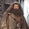 Rubeus Hagrid on Random Best Teachers at Hogwarts