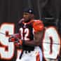 Rudi Johnson is listed (or ranked) 20 on the list The Best Auburn Tigers Running Backs of All Time