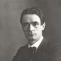 Dec. at 64 (1861-1925)   Rudolf Joseph Lorenz Steiner was an Austrian philosopher, social reformer, architect, and esotericist.