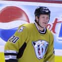 Defenseman   Ryan Suter is a professional ice hockey defenseman and alternate captain with the Minnesota Wild of the National Hockey League.