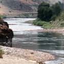 Salmon River on Random Best U.S. Rivers for Fly Fishing