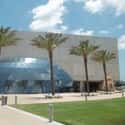 Salvador Dali Museum on Random Best Museums in the United States