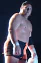 Samoa Joe on Random Best Pro Wrestling Champions