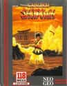 Samurai Shodown on Random Best '90s Arcade Games